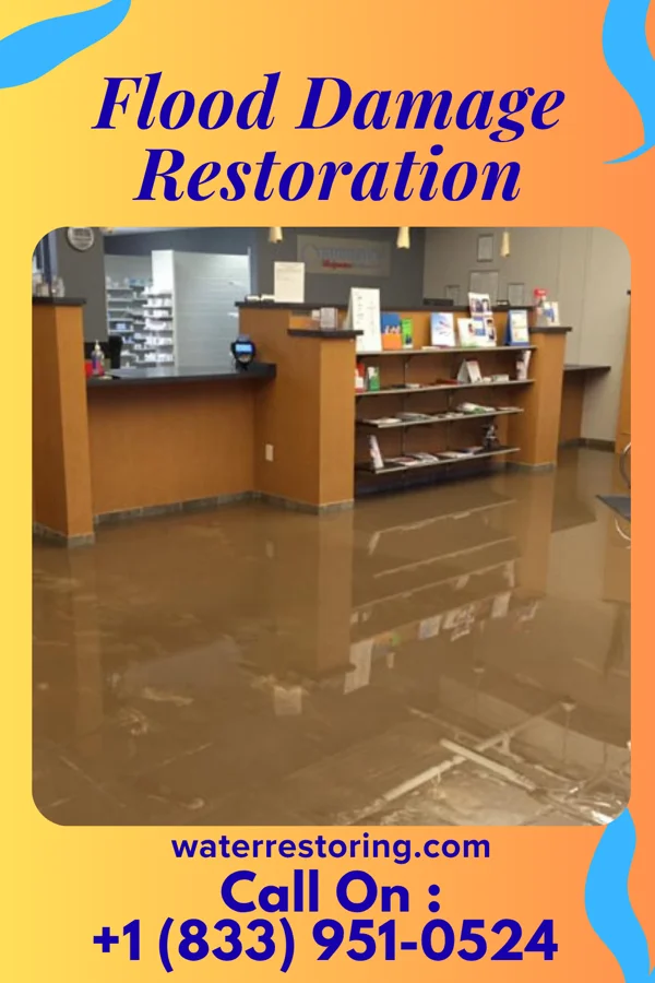 Flood Damage Restoration in Highland Lake, AL