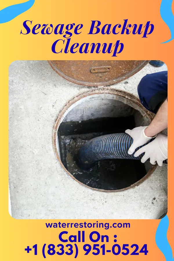 Sewage Backup Cleanup in Highland Lake, AL